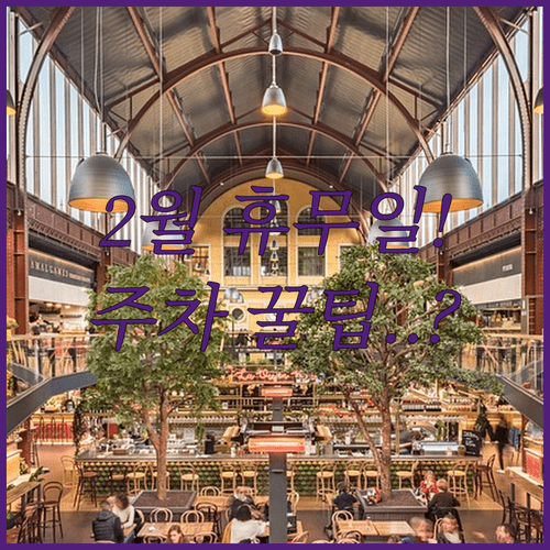 안성 트레이더스 2월 정기 휴무일 및 무료 주차 팁