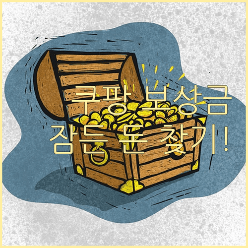 쿠팡 보상금 확인법 | 쿠페이 머니 내역 및 쿠팡 캐시 조회