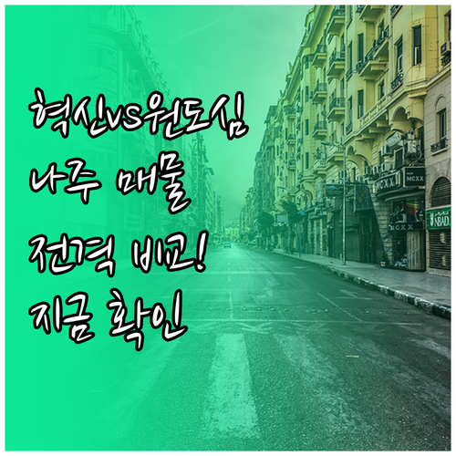 빛가람 혁신도시 대 원도심 나주 부동산 지역별 맞춤 매물 정보