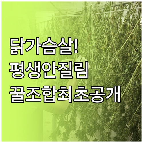 질리지 않는 닭가슴살 식단 관리와 추천 채소 조합