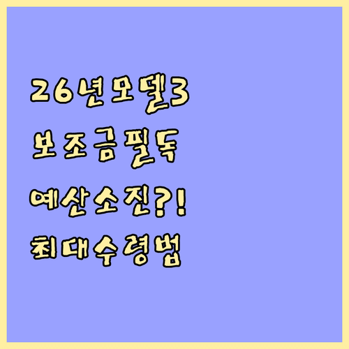 2026 테슬라 모델 3 퍼포먼스 전기차 보조금 수령 전략 | 국비 상한선, 지자체 예산 소진