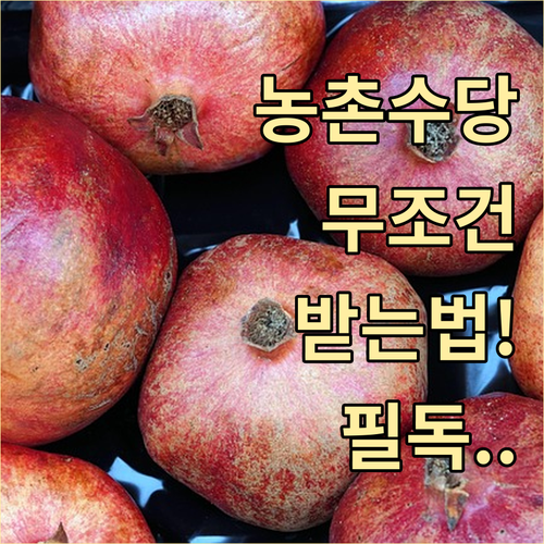 농촌일자리플러스 촉진수당 지급 절차 및 주의사항