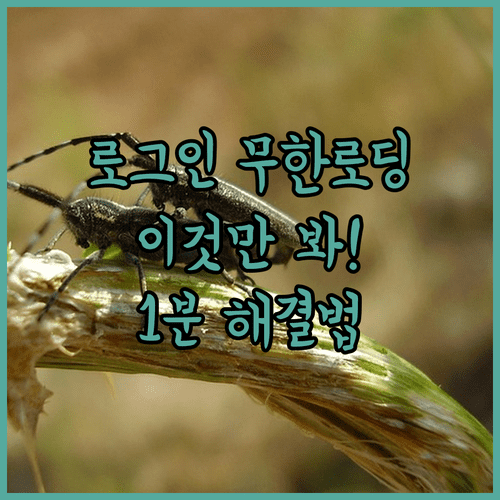 복지로 로그인 안 될 때 해결 순서 | 무한 로딩 및 튕김 현상 조치