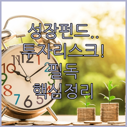 국민성장펀드 투자 리스크 총정리 및 현명한 자산 관리 원칙