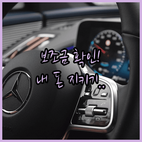 우리 동네 전기차 지자체 보조금 실시간 조회와 예산 확인 방법