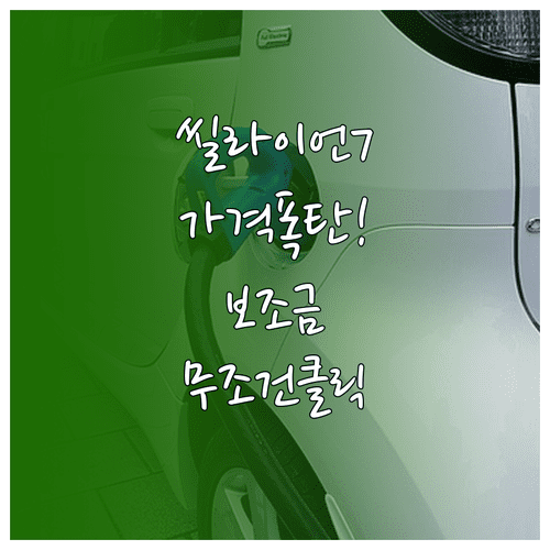BYD 씰라이언 7 가격 정보 및 2026년 환경부 보조금 수령 총정리