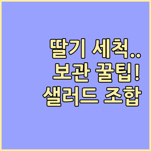 신선한 딸기 세척법 보관법 및 샐러드 조합 추천