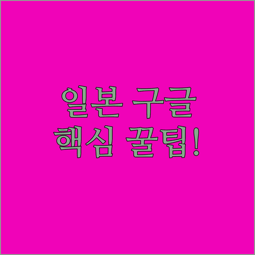 일본 구글 접속 방법 및 브라우저 언어 설정 변경법