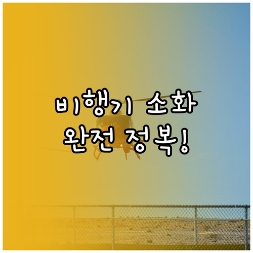 비행기 소화 불량 방지 식단 | 글루텐 프리 및 저지방 기내식 정보