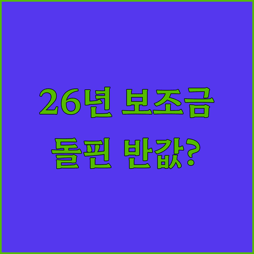 2026년 전기차 보조금 정책 변화와 BYD 돌핀 Active 실구매가 확인
