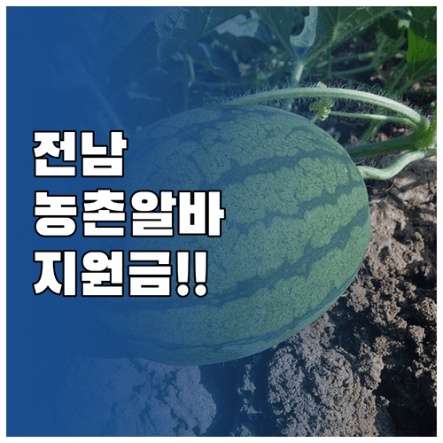 전남 농촌일자리 혜택 총정리 교통비 숙박비 보험 지원