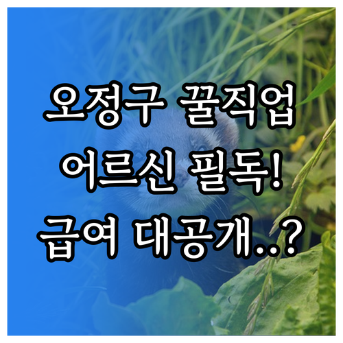 부천 오정구 어르신 일자리 참여 자격과 사회복지사 급여 처우 안내