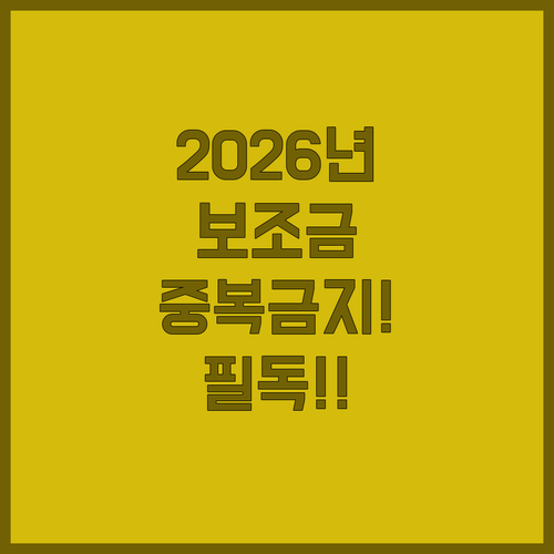2026년부터 달라지는 전기차 보조금 제도 동일 차종 중복 신청 제한