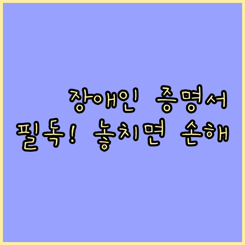 연말정산 장애인 증명서 발급 시 주의사항 및 소득 요건