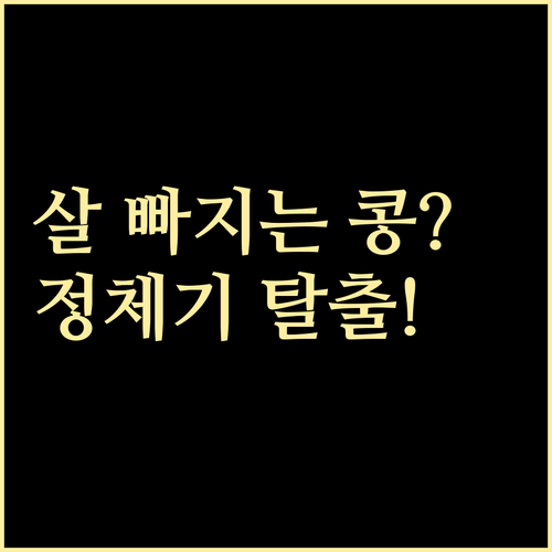 다이어트 정체기 극복 돕는 콩의 효능과 주의사항