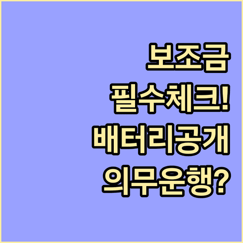 전기차 보조금 수령 시 주의사항 | 배터리 정보 공개와 의무 운행 기간