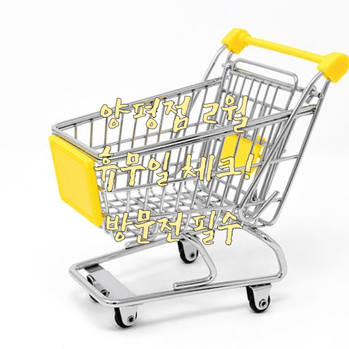 코스트코 양평점 2월 운영 정보 | 정기 휴무일 영업시간 주소