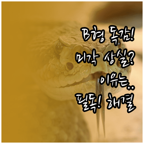 B형 독감 유행 시 미각 이상 나타나는 이유와 관리