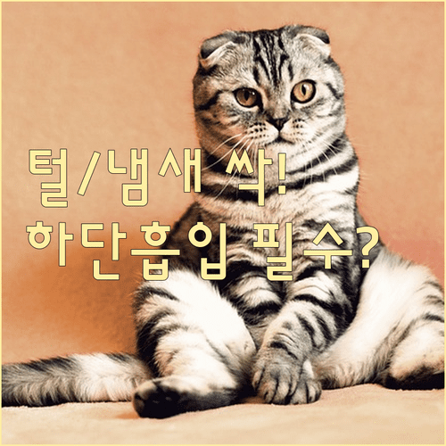 반려동물 공기청정기 선택 기준과 펫 필터 하단 흡입 특징