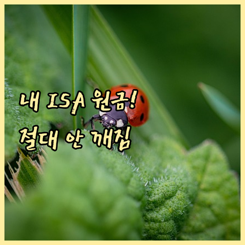 ISA 개인종합관리계좌 원금 손실 방지하는 위험관리 전략