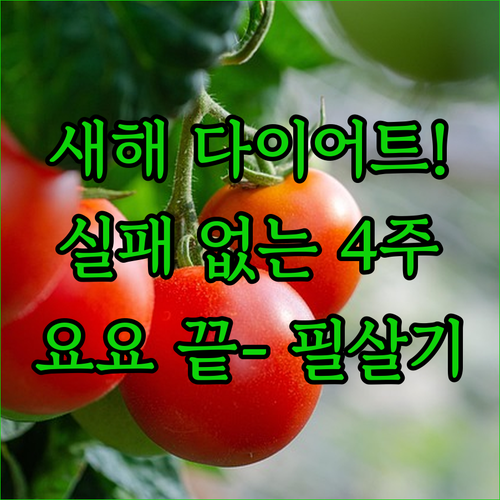 실패 없는 새해 다이어트 4주 식단 계획과 요요 예방 수칙