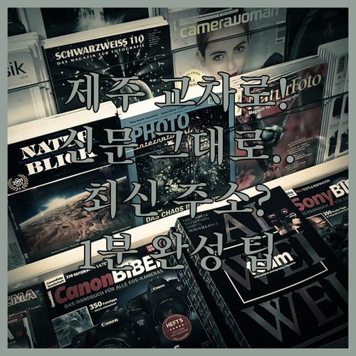 제주 교차로 신문 그대로보기 접속 주소 및 이용 순서