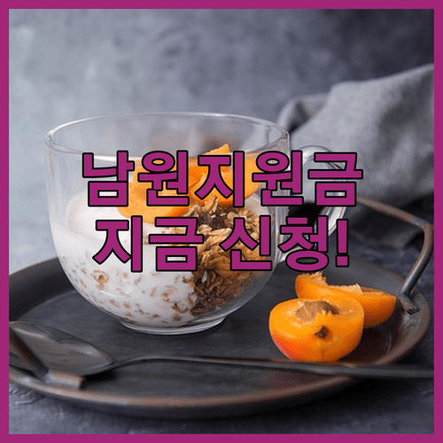 남원시 민생지원금 지급 대상과 온라인 방문 신청 접수 방법