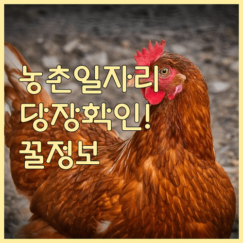 농촌일자리플러스 농산업 인력중개센터 연계 일자리 정보