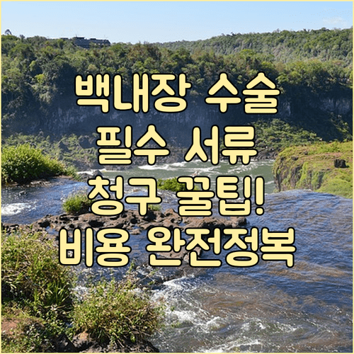 백내장 수술 서류 종류별 발급 수수료와 보험 청구 방법