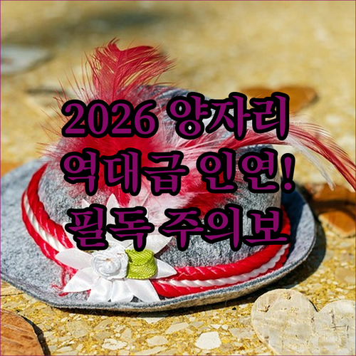 양자리 2026년 인연운과 커플을 위한 시기별 관계 관리법