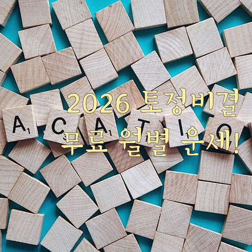 2026년 병오년 무료 토정비결 조회 및 월별 상세 운세 확인법