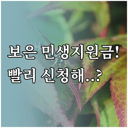 보은군 민생지원금 신청 방법 및 지급 대상 기간 총정리