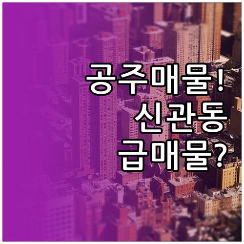 공주 교차로 부동산 매물 검색 | 신관동 금성동 동네별 상세 필터링