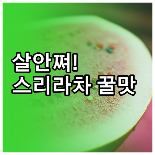 닭가슴살 소스 활용법 | 스리라차 알룰로스 조합 저칼로리 양념