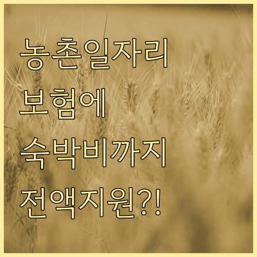 농촌일자리플러스 혜택 정리 | 상해보험 가입과 교통비 숙박비 지원