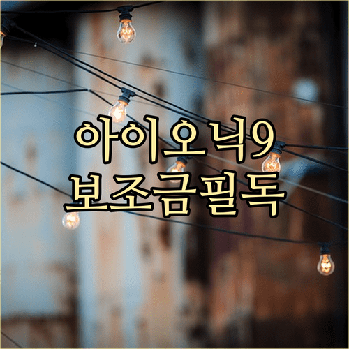 2026년 아이오닉 9 항속형 AWD 전기차 보조금 예상 금액 및 신청법