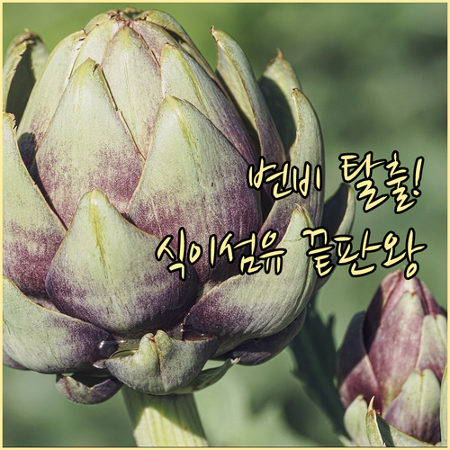 변비 예방에 좋은 식이섬유 많은 음식과 섭취 주의사항