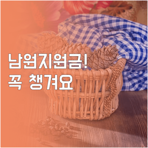 남원 민생지원금 신청 기간 및 신분증 지참 방문 수령 절차