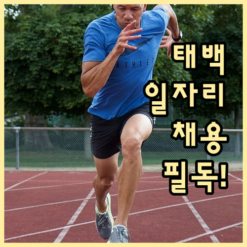태백 일자리 구하기 | 동해교차로 채용 공고 및 안전한 구직 가이드라인