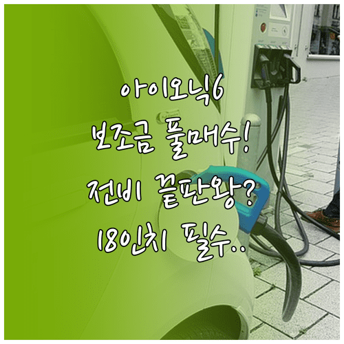 아이오닉 6 롱레인지 AWD 18인치 보조금 극대화 방법과 전비 효율