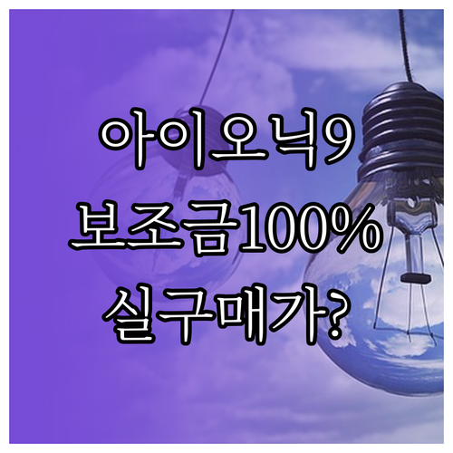 아이오닉 9 항속형 2WD 보조금 100퍼센트 지급 조건 및 가격