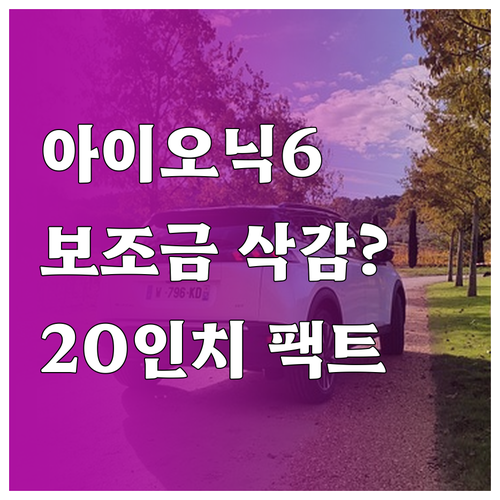 아이오닉6 20인치 휠 장착 시 국고 보조금 감액 폭과 주행 성능