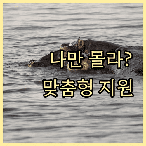 한부모가정 복지멤버십 신청 방법 및 맞춤형 지원 혜택 정리