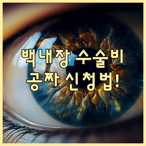 어르신 백내장 수술비 지원 자격 및 보건소 신청 절차