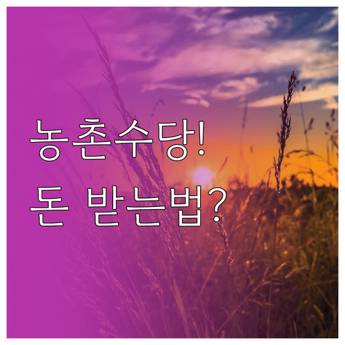 농촌일자리플러스 촉진수당 자격 요건 및 수령 방법