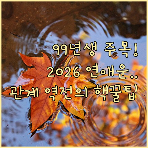1999년생 토끼띠 2026년 연애운 및 인간관계 핵심 요약