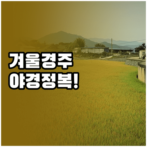 겨울 경주 박물관 관람 시간 입장료 및 야경 스팟 상세 정보