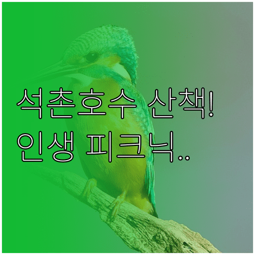 봄맞이 송파 나들이 정보 | 석촌호수 산책로와 올림픽공원 피크닉