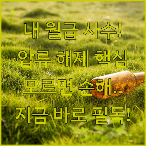 내 월급 지키는 법적 안전장치와 압류 해제 신청 순서