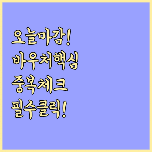 경영안정 바우처 접수 마감 시각 및 지자체 중복 수혜 확인